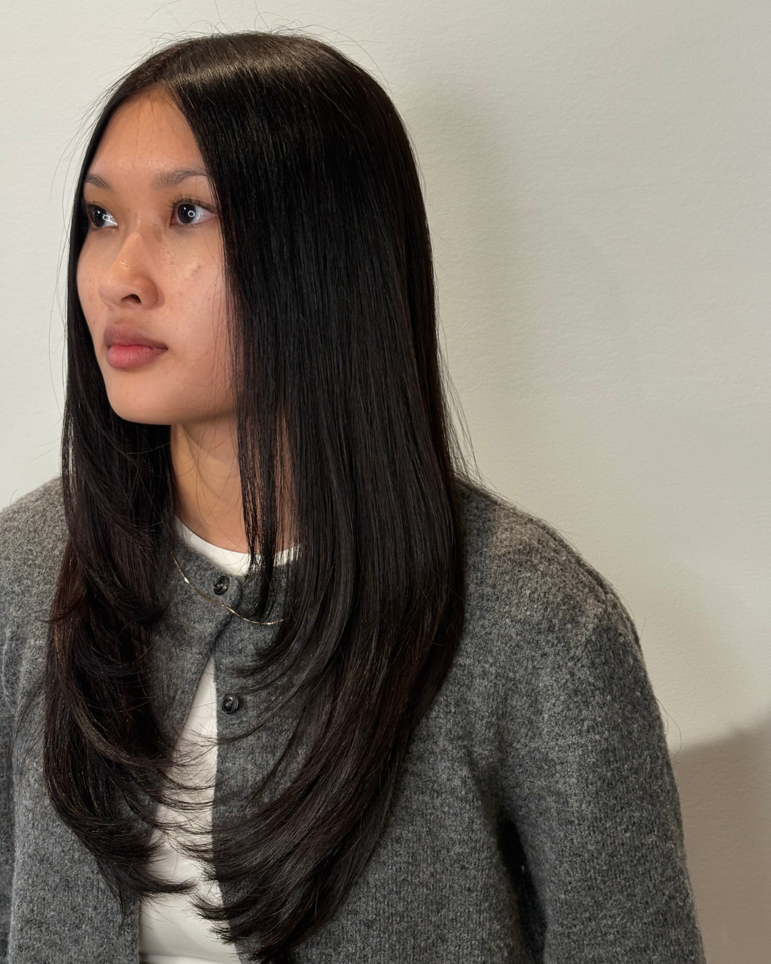 Sleek straight dark brunette cut with face-framing layers